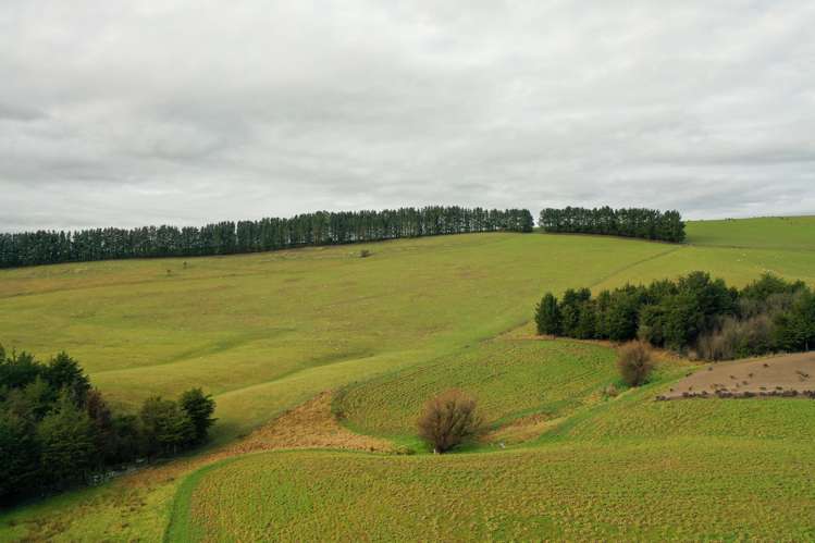 319 Monument Road Pleasant Point_24