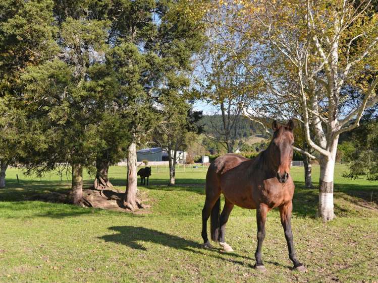 326 Wakefield-Kohatu Highway Wakefield_20