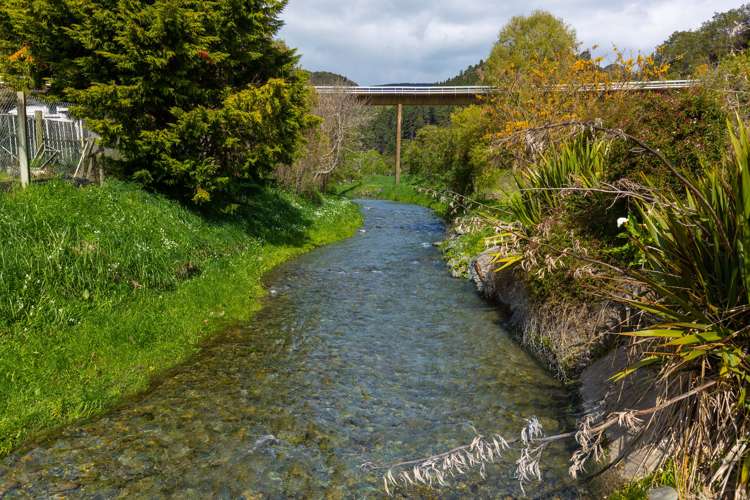 70 Devon Street Picton_24