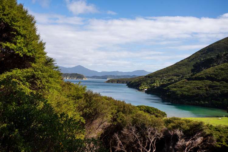 Lot 4 + 5 Te Aroha Bay, Otanerau Bay Marlborough Sounds_36