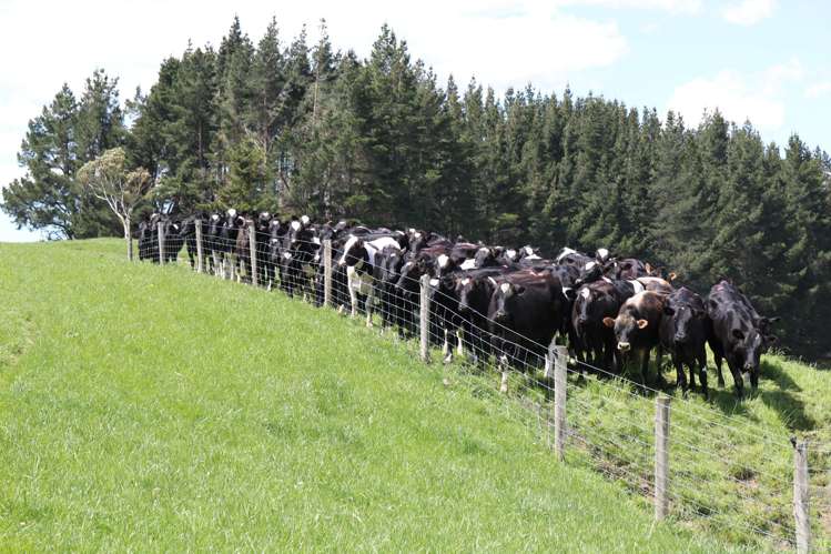 669B Waimumu Road Gore_8