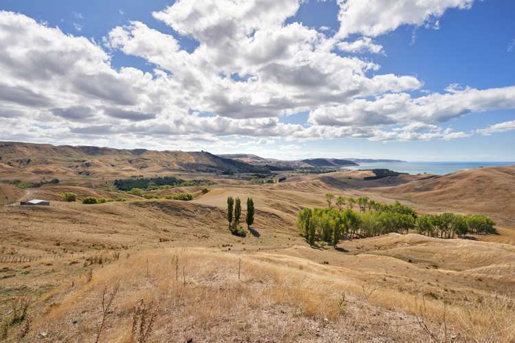 399 Te Apiti Road Waimarama_8