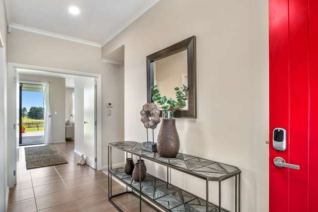 135b Hutchinson Road Helensville_2