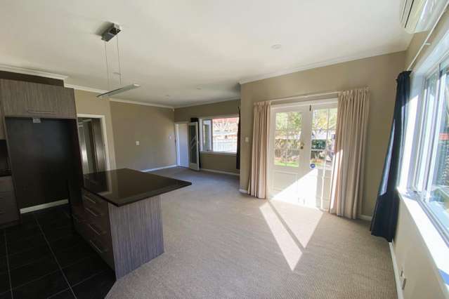 12 Montgomery Terrace 2138_1