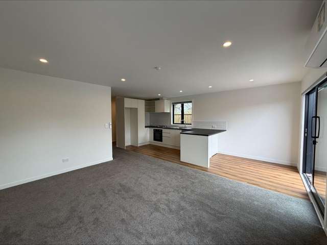  3/205 Puriri Street Castlecliff_2