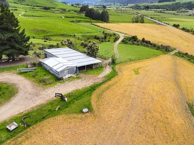 124 Niagara Waikawa Road Tokanui_5