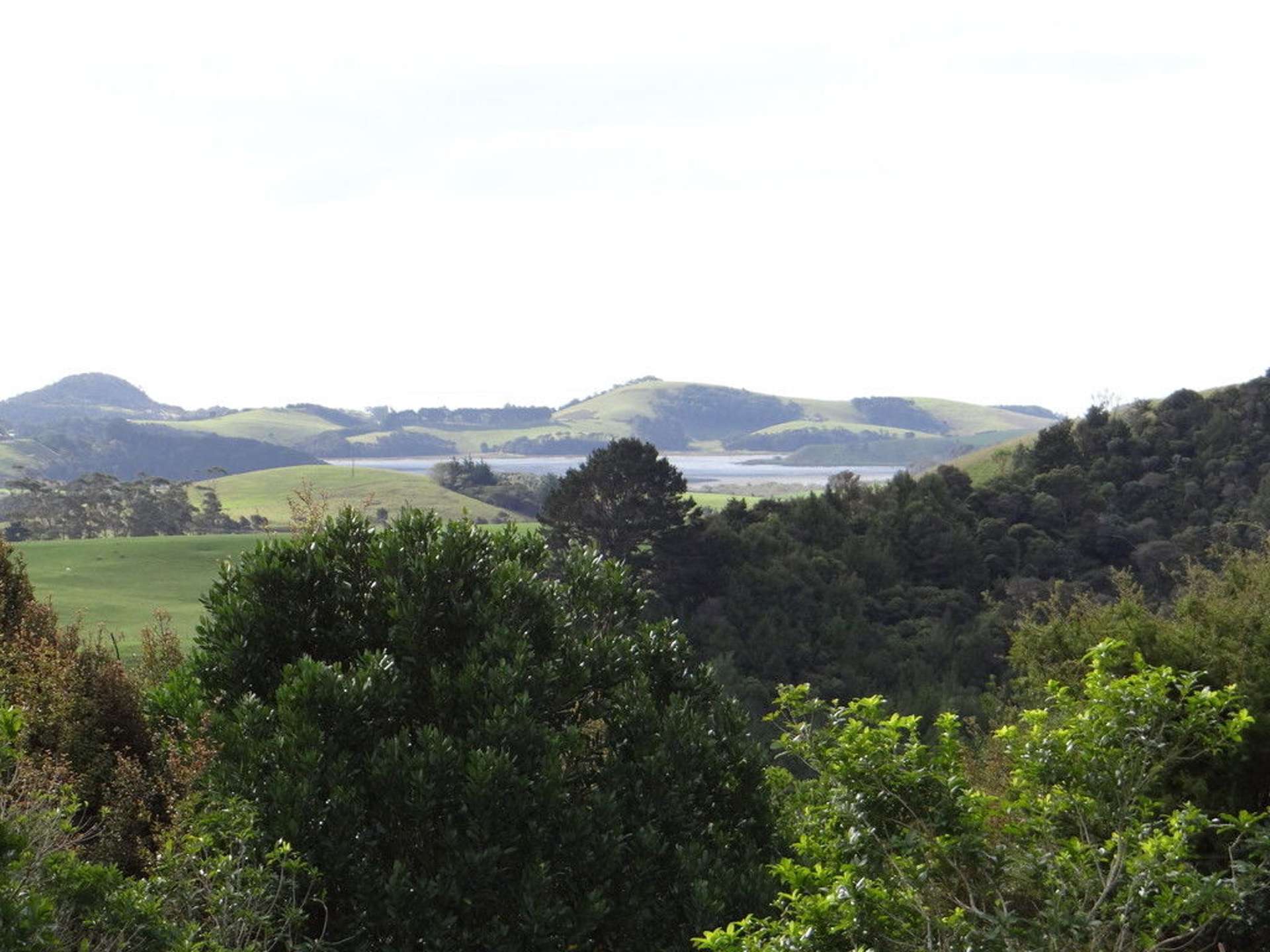 206 Kauri Mountain Road Taiharuru_0