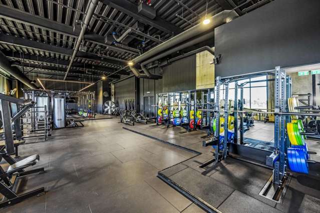 223 Greenlane West Epsom_2