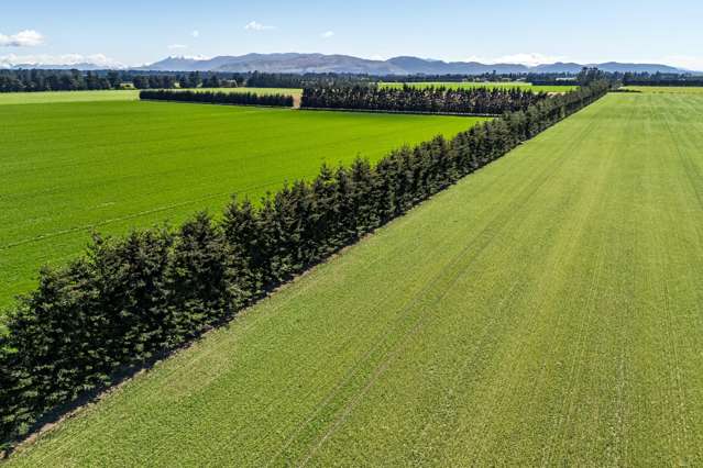 100/246 Vaughans Road Methven_3