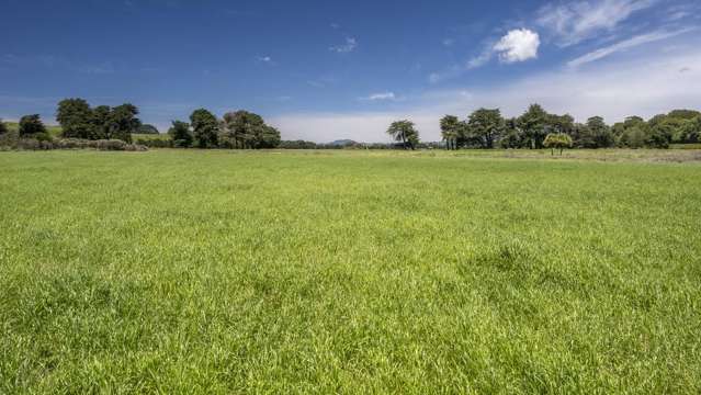 83385 State Highway 2 Eketahuna_4