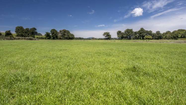 83385 State Highway 2 Eketahuna_4