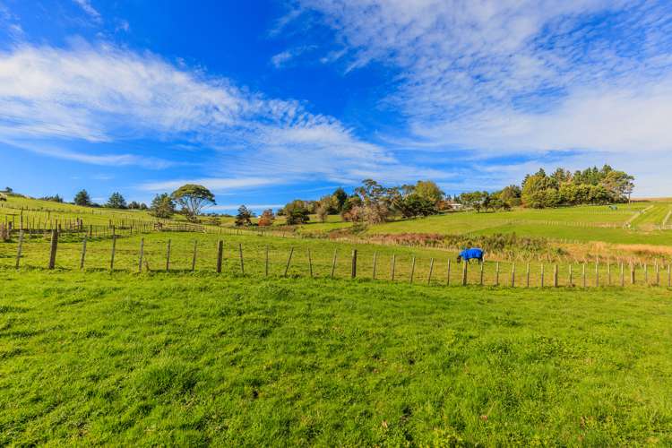 53 Follies Way Dairy Flat_8