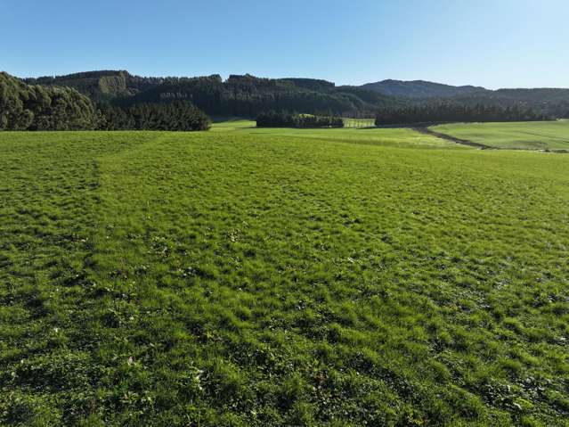 1601 Glencoe Highway Glencoe_4