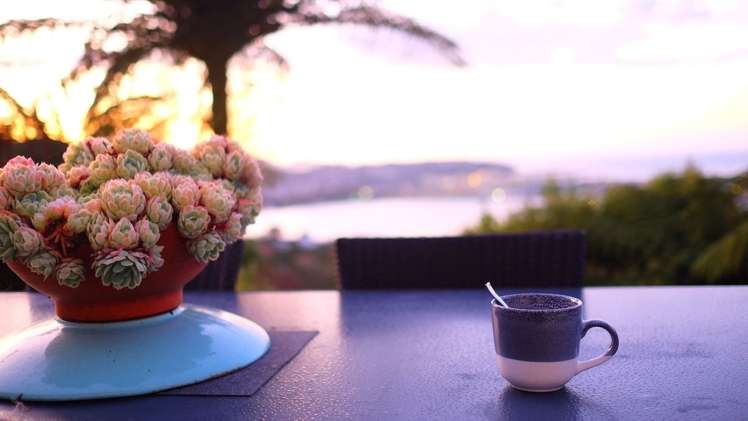 25 Alexandra Road Roseneath_14