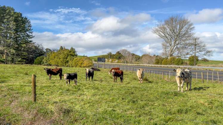435 Mangatawhiri Road Mangatawhiri_26