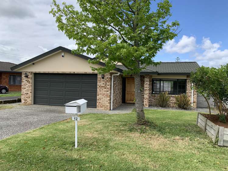 12 Amarillo Place Manurewa_0