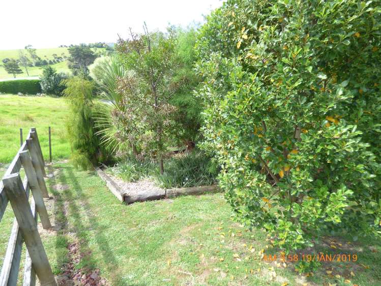 34 Oxford Street Whakapirau_23