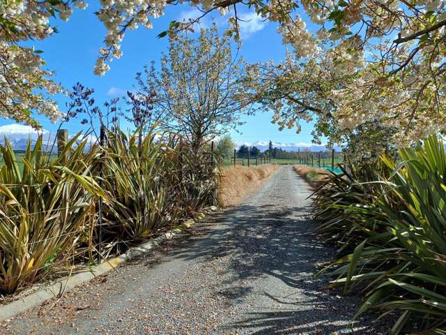 181 Nixons Road Fairlie_3