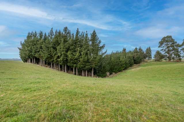 22 Paterson Road Waimumu_3