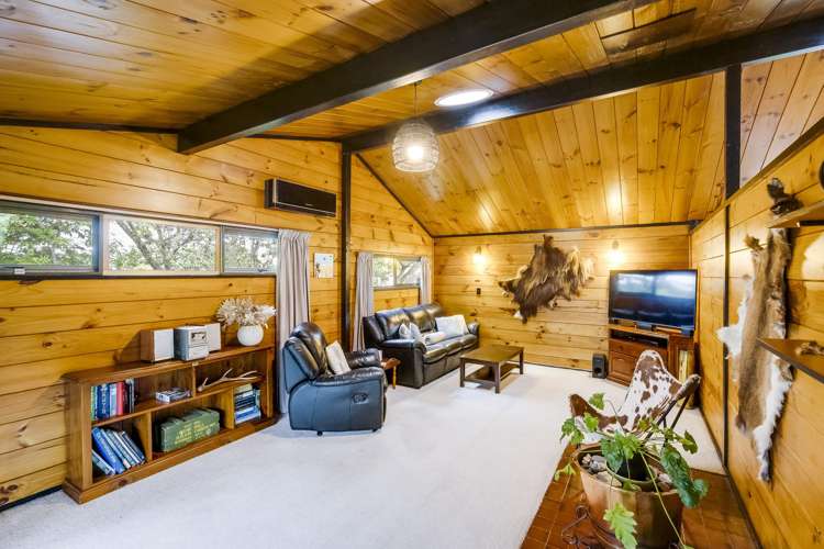 47 Plunket Street Tamatea_11