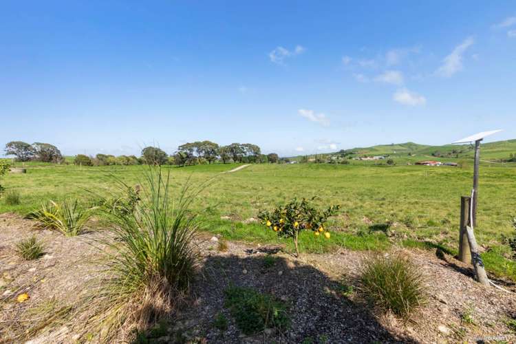 437 Tauhei Road Morrinsville_14