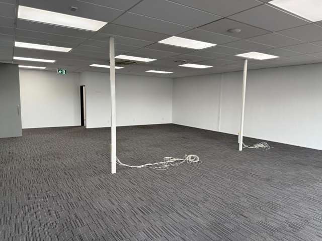 21 Carlyle Street Sydenham_4