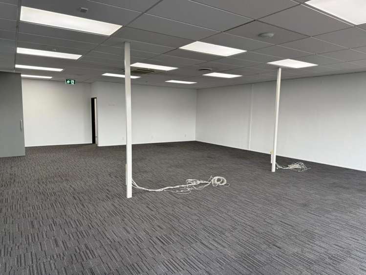 21 Carlyle Street Sydenham_4