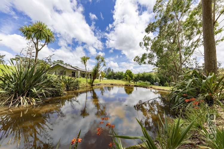 589 Inland Road Helensville_72
