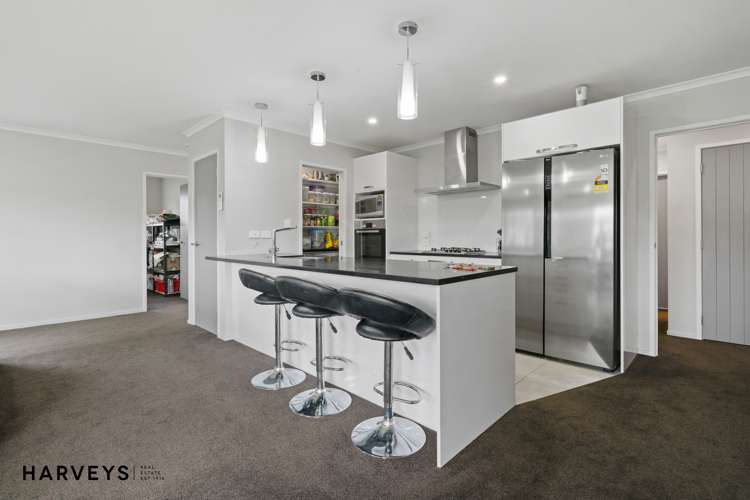 125 Hillpark Drive Pokeno_2