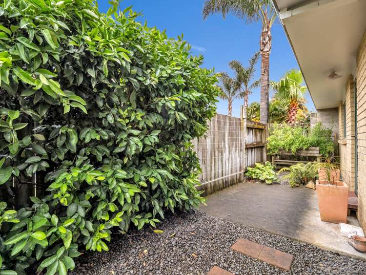 36 Olympus Grove Papamoa Beach_21
