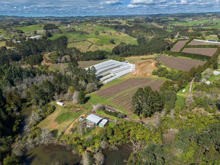 251B Esdaile Road Whakamarama_6