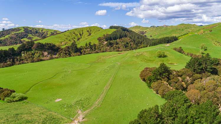 792 Clifton Grove Road Gladstone_14