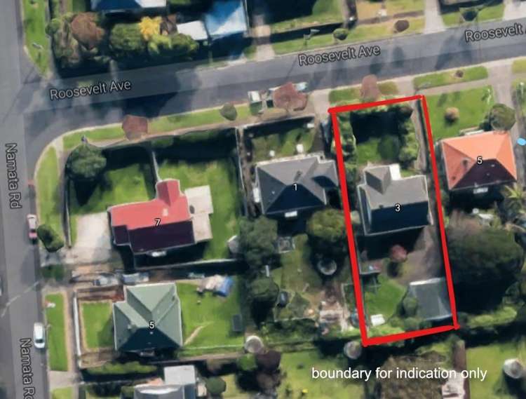 3 Roosevelt Avenue Onehunga_10