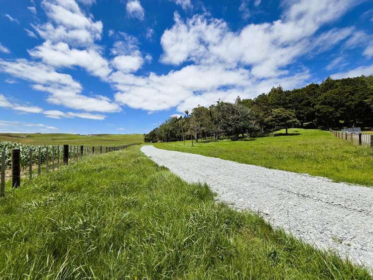 Lot Lot 3 Sills Road Dargaville_17