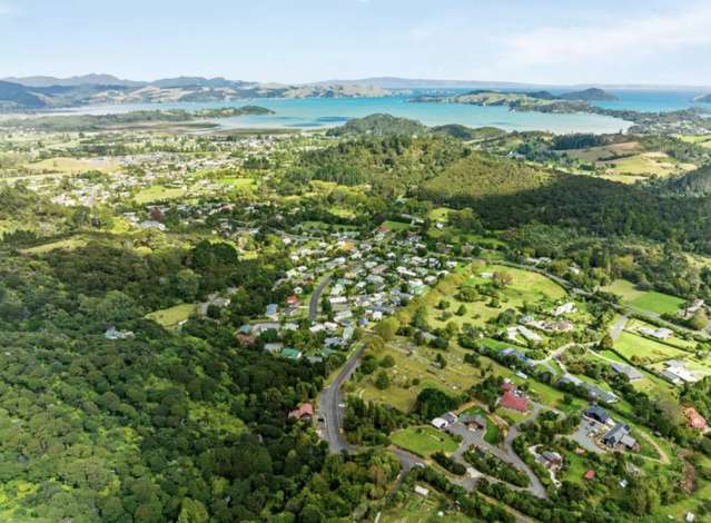 600 Buffalo  Road Coromandel_2