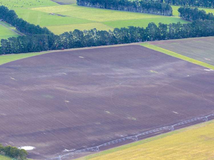 458 Wakarara Road Ongaonga_14