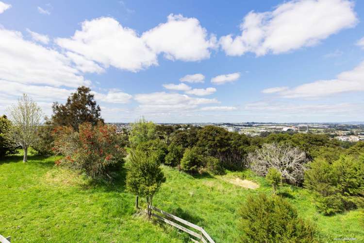 189 Lonely Track Road Albany Heights_16