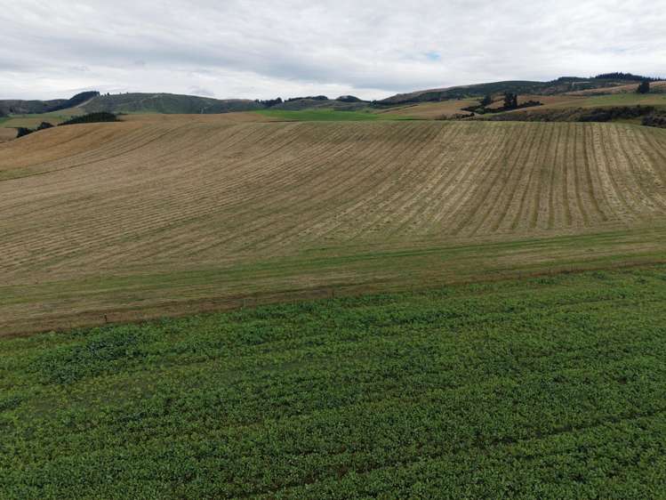 158 Kowhatu Road Waimate_19