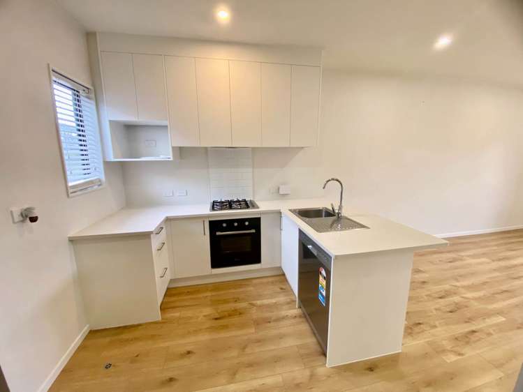 Creekside Way Flat Bush_2