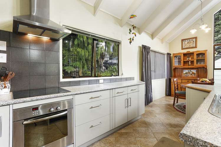 44 Wirihana Road Titirangi_6