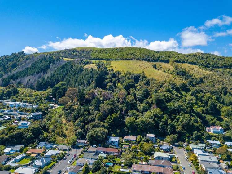 101 Cambria Street_4