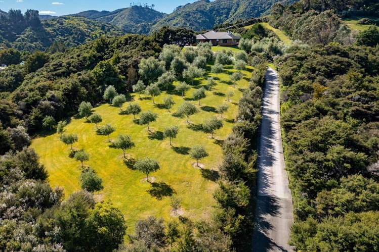 59a Jude Road Mangawhai_28