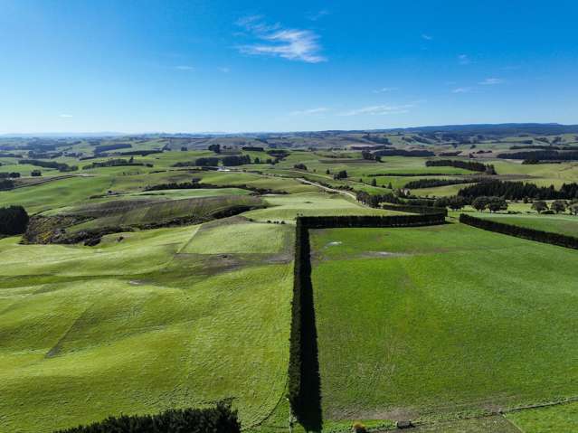 300 Jacks Hill Road Waimahaka_4