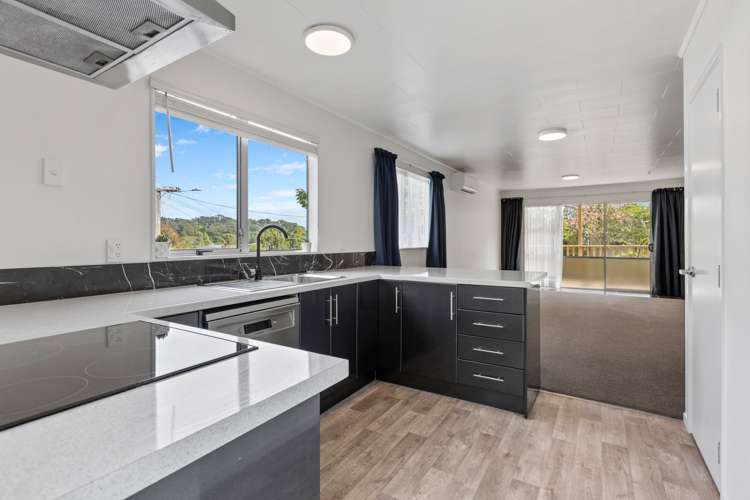 1/7 Euclid Street Vogeltown_9