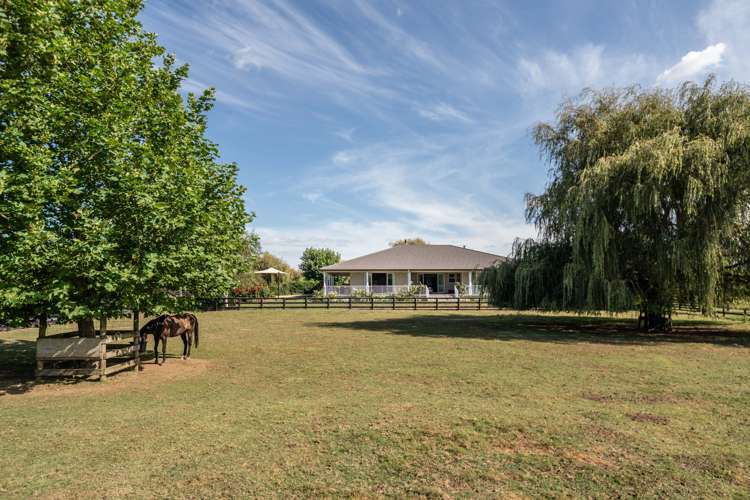 81 Racecourse Road Cambridge_2