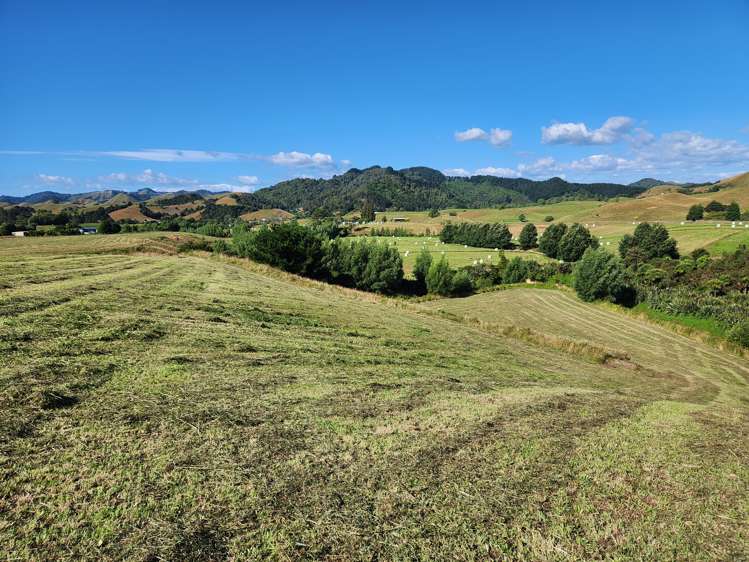 211 Waitetuna Valley Road Raglan_19