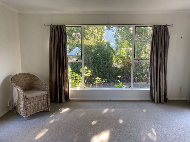 46B Copeland Street Hutt Central_11