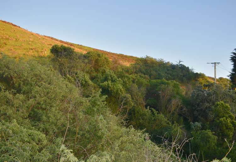 199 Taylors Mistake Road Te Onepoto / Taylors Mistake_10