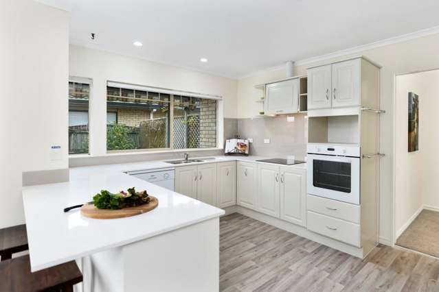 125 Gloucester Road Mount Maunganui_2