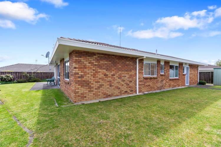 3b The Green Mount Maunganui_2